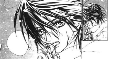 Vampire Knight